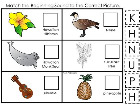 30 Printable Hawaii State Symbol Geography Games. | Made By Teachers