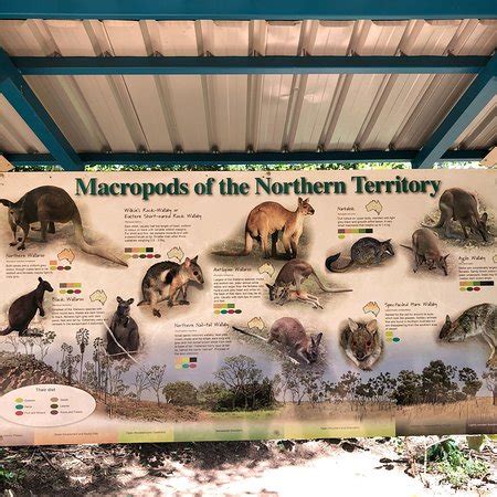 Territory Wildlife Park (Berry Springs): 2018 All You Need to Know Before You Go (with Photos)