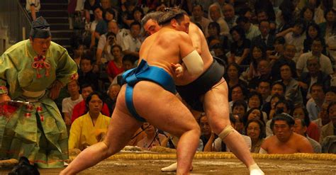 How to Buy Sumo Wrestling Tickets in 2024 & 2025 - Japan Concert Tickets