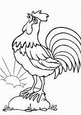 Free & Easy To Print Chicken Coloring Pages  Tulamama sketch template