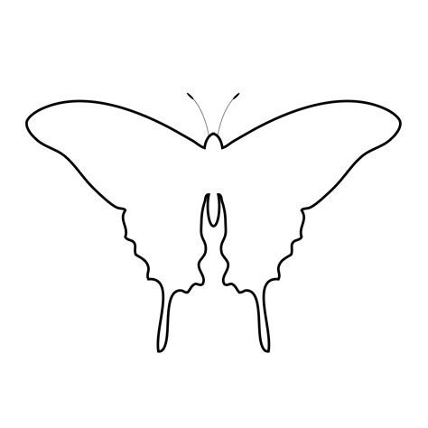 Butterfly Outline Clipart Free Stock Photo - Public Domain Pictures