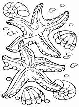 Starfish To Print Coloring Page  Free Printable Pages sketch template