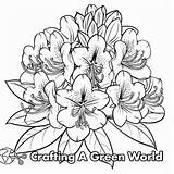May Flowers Coloring Pages  Free & Printable sketch template