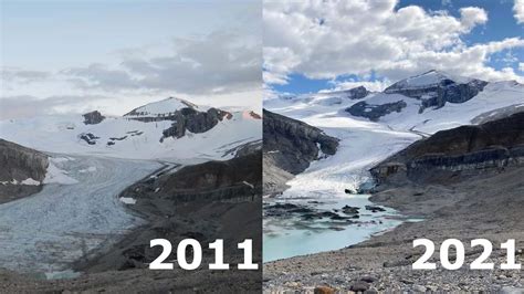 This Alberta glacier is in a melting 'death spiral,' scientist says ...