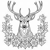 Realistic deer With Floral Patterns coloring Page Lulu Pages sketch template