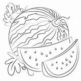Watermelon coloring Page  Free Printable Coloring Pages sketch template