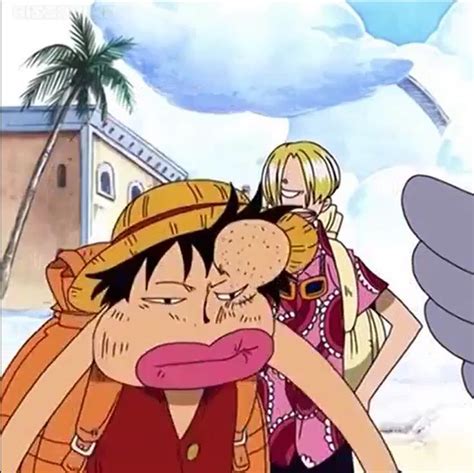 luffy and sanji | Anime, One piece anime, Luffy