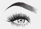 Eyes With Lashes Clip Art Vector Sketch Coloring Page sketch template
