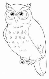 Coloring Owls Ideas sketch template