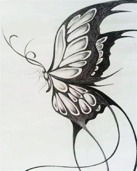 Butterfly Tattoo Drawings In Pencil