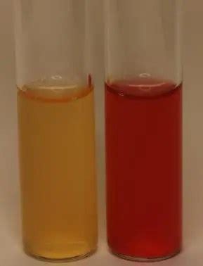 Methyl Red (MR) Test: Principle, Procedure, Results • Microbe Online