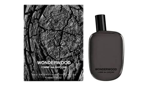 Best Woody Colognes & Fragrances To Enhance Your Masculinity