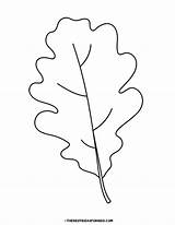 Oak Leaf Coloring Page sketch template