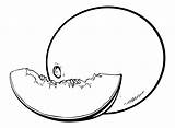30  Melons Coloring Pages Free Printable PDF JPG PNG & Online sketch template