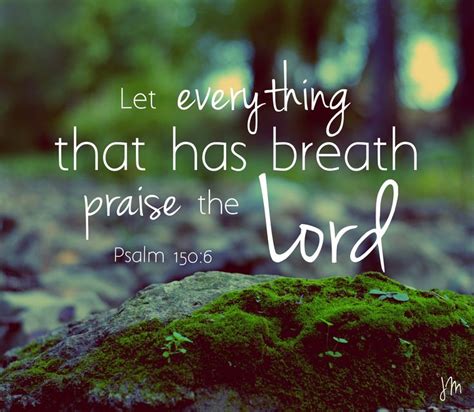 "Let everything that has breath praise the Lord." Psalm 150:6 Photo ...