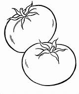Tomatoes Coloring Pages  ColoringBay sketch template