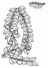 Coloring Pages Randy Moss sketch template