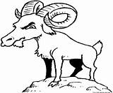 Printable billy goat Colouring Pages For KidsFree Coloring  sketch template