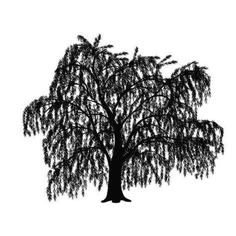 Willow Tree Illustrations, Royalty-Free Vector Graphics & Clip Art - iStock