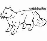 Printable Webkinz Coloring Page  Free Pages For Kids sketch template
