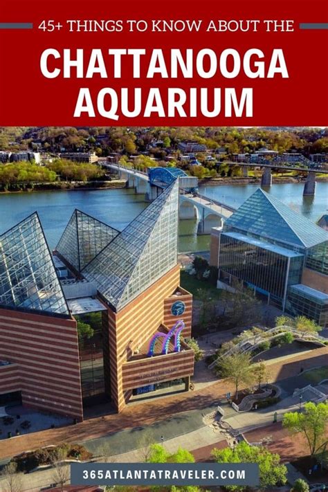 Chattanooga Aquarium: 45+ Essential Things to Know BEFORE Going