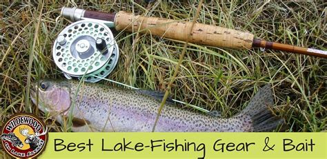 Expert and Local Tips on Best Lake-Fishing Gear and Bait for Lake Savant in Ontario, Canada ...