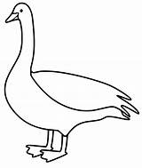 Nene Goose Coloring Page  Free Printable Pages For Kids sketch template