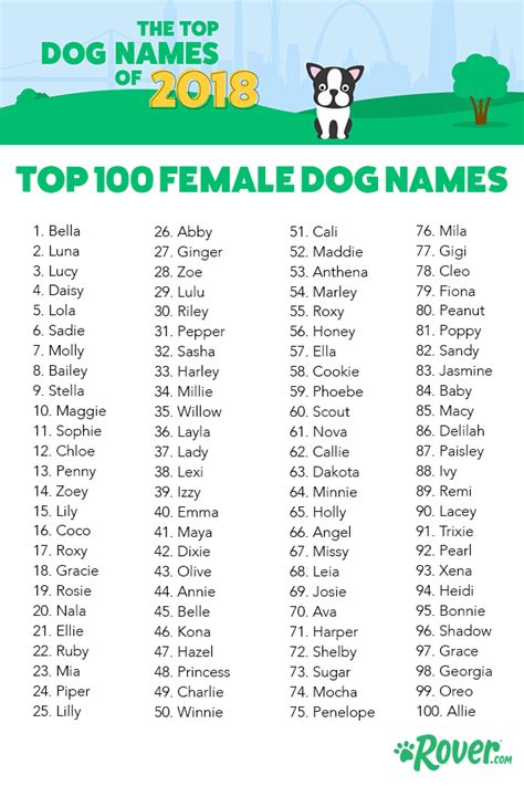 Top 100 dog names that mean love – Artofit