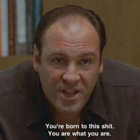 Pin by Satoh on posters | Sopranos quotes, Movie quotes, Sopranos poster