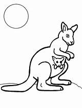 Free Printable Kangaroo Coloring Pages For Kids sketch template