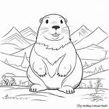 Gopher Coloring Pages  Free & Printable sketch template