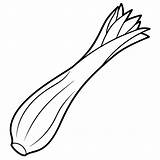 A coloring Page Of An Food leek With No color Just Black Lines Vector  sketch template