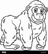 Cute Baby Gorilla Coloring Pages sketch template