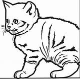 Printable Cute Kitty Cat Coloring Page For Kids – SupplyMe sketch template