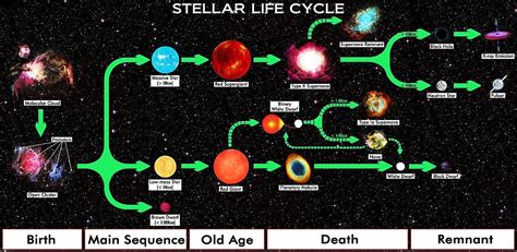 Star Life Cycle Chart - Stellar evolution - Wikipedia | Двойная звезда ...