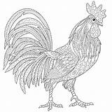 Rooster Coloring Book Pages sketch template