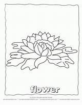 Botany Coloring Pages  Home sketch template