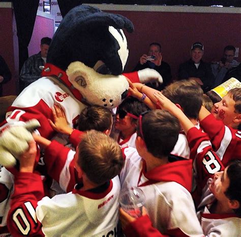 BU Mascot Program looks for new Rhett the Terrier – The Daily Free Press