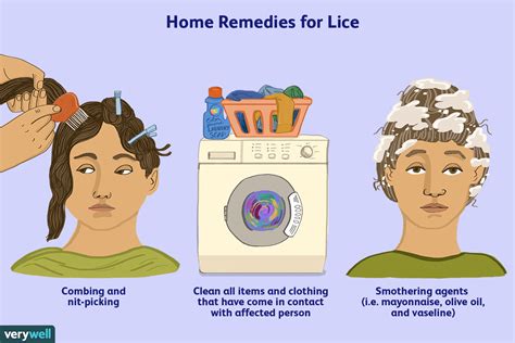 How To Clean Head Lice - Ademploy19