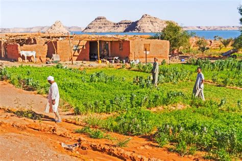 Egyptian farmers in the field | Inhabitat - Green Design, Innovation ...