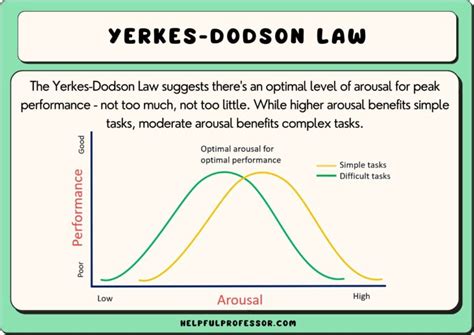 15 Yerkes-Dodson Law Examples (2024)