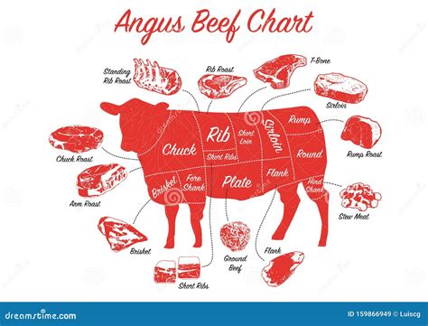 Angus beef chart stock illustration. Illustration of roast - 159866949