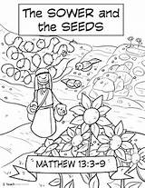 Parable Of The Mustard Seed Coloring Page sketch template