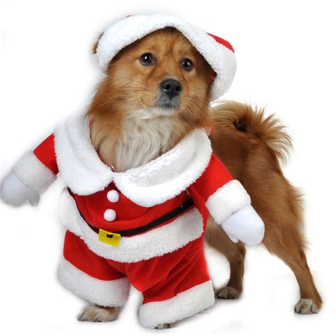 Pet Puppy Dog Christmas Clothes Santa Claus Costume Outwear Coat Hoodie ...