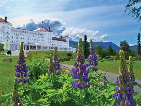 Majestic Mount Washington resort celebrating 120 years of making memories