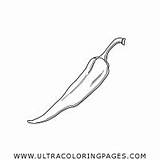 Pepper Spices Coloring Pages For Kids  Free sketch template