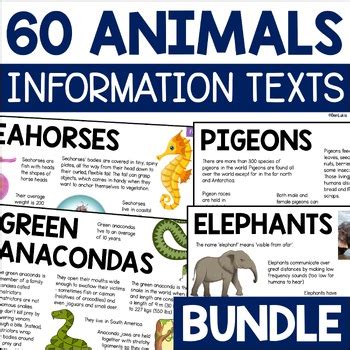 Animal Information Text Reading Passages BUNDLE - Six Animal Groups