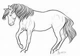 Reining Mare  Coloring Book By JNFerrigno sketch template