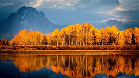 1920x1080 Autumn Trees On Lake Laptop Full HD 1080P HD 4k Wallpapers, Images, Backgrounds ...