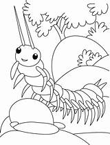 Centipede Coloring Pages Free sketch template